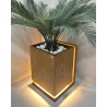 Pot lumineux Floraluce Bois Frêne